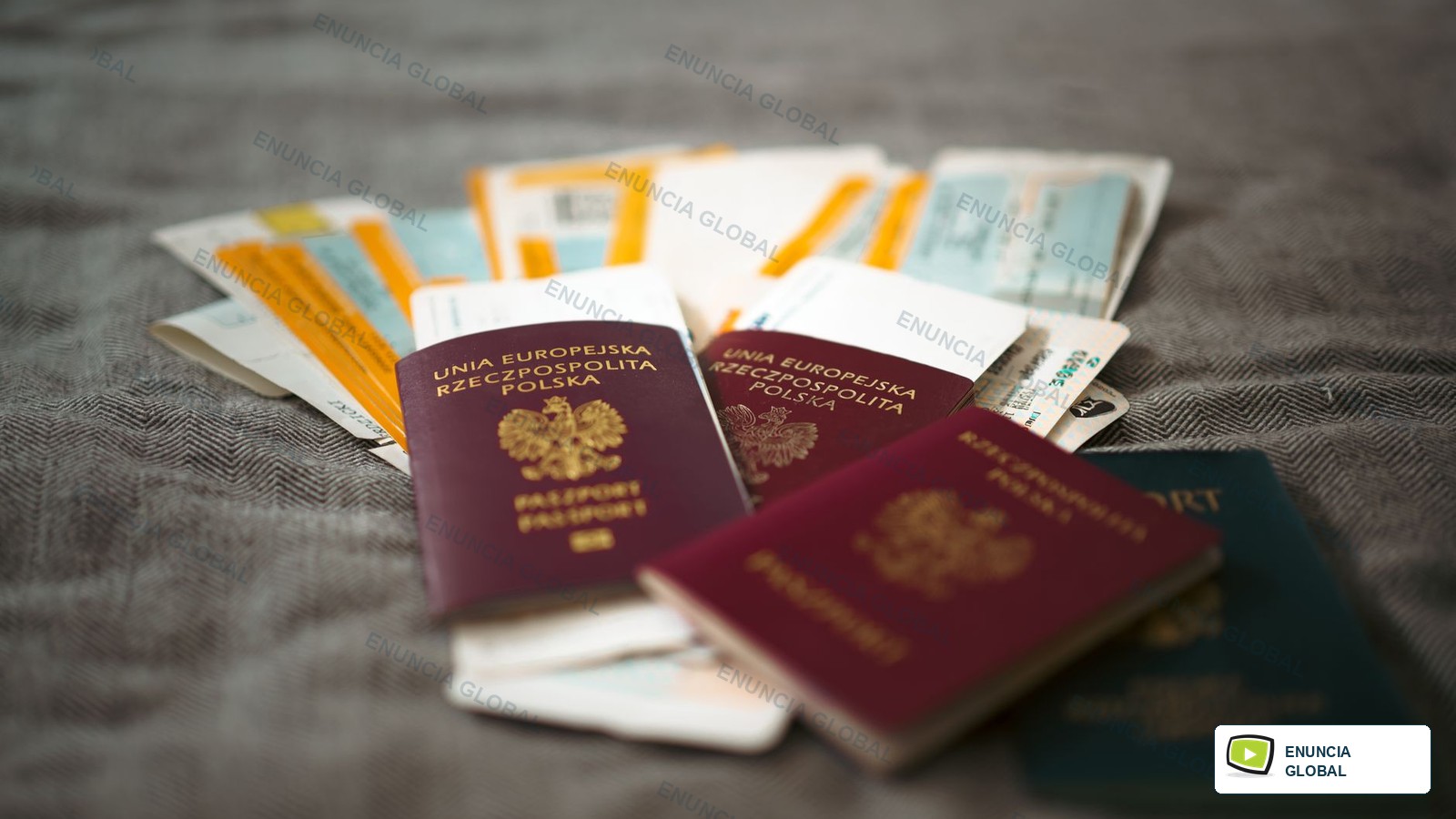 Immigration Document Translation Services by Enuncia Global