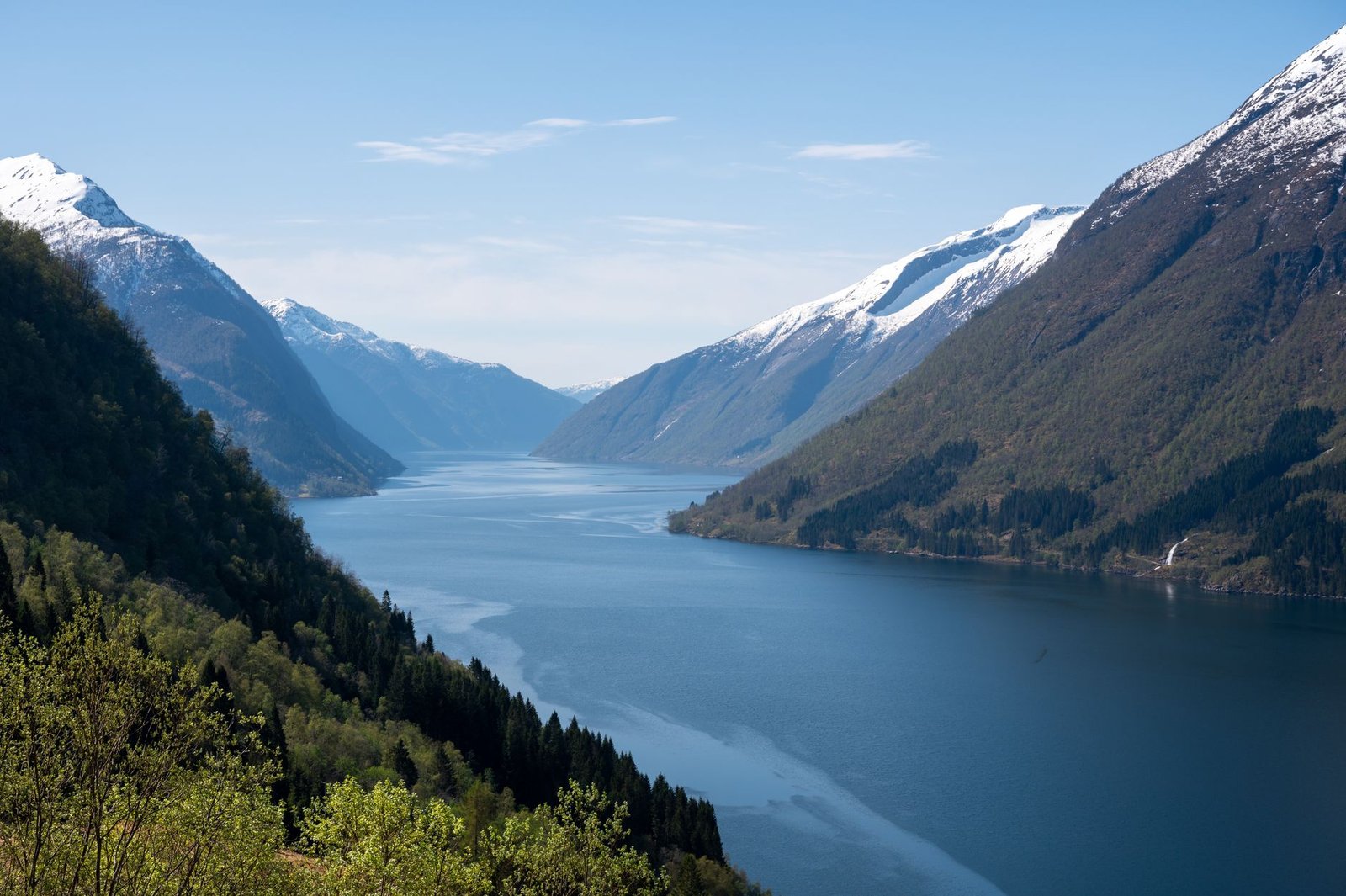 Norwegian Translation Services in India mid image with Enuncia Global watermark